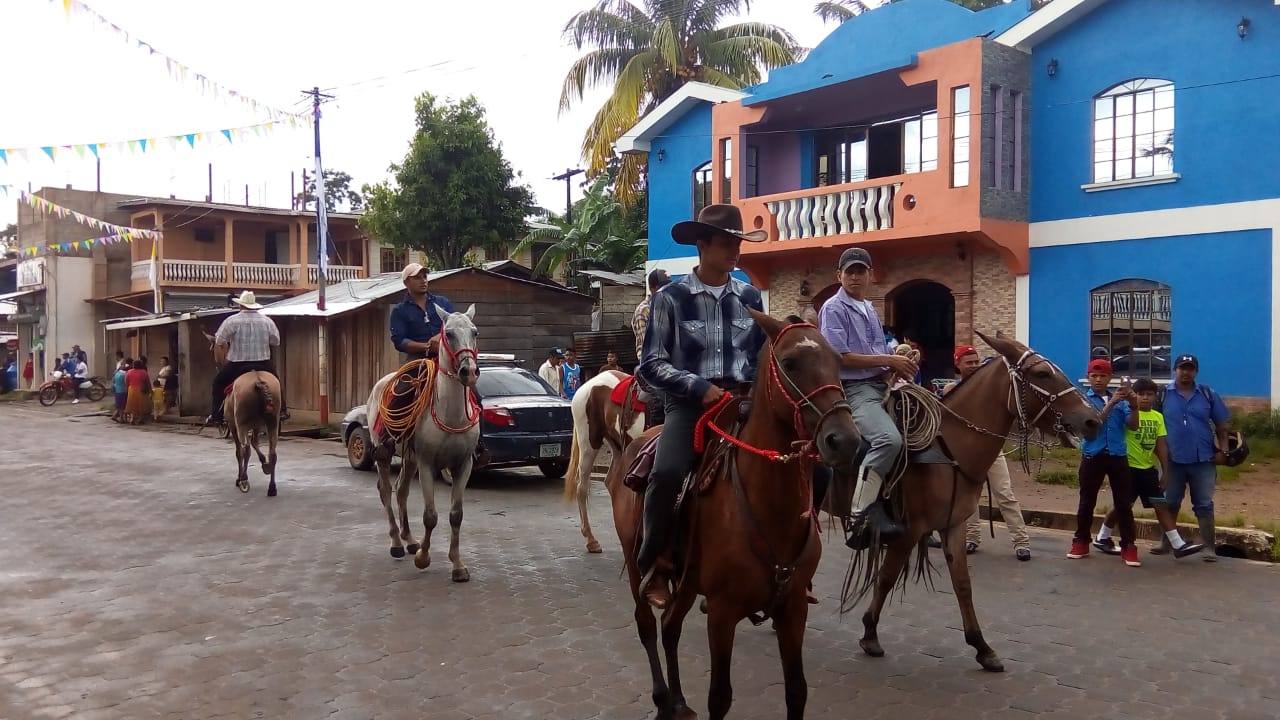 Hipico1